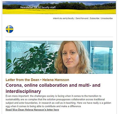 NJ Faculty newsletter