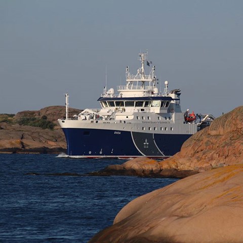 Forskningsfartyget R/V Svea i skärgård. Foto.