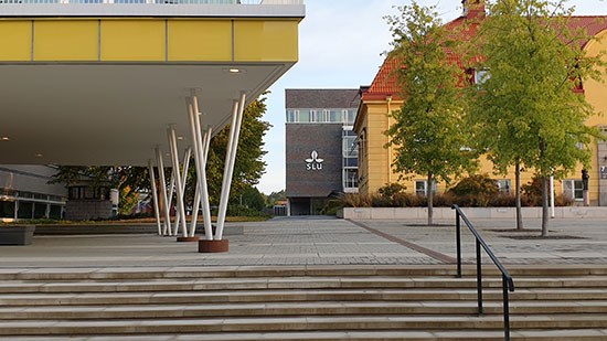 Gångvägen mellan Biocentrum och MWM-huset, foto.