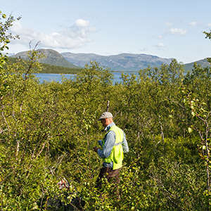Fältinventering i fjällmiljö. Foto: Sören Wulff, SLU