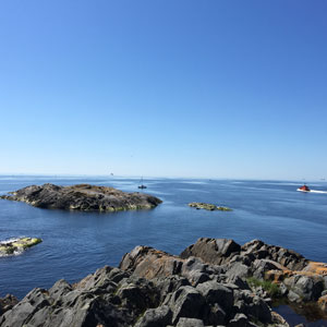 Vy från Öja. Foto.