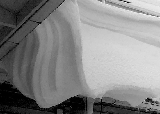 Snödriva, foto.