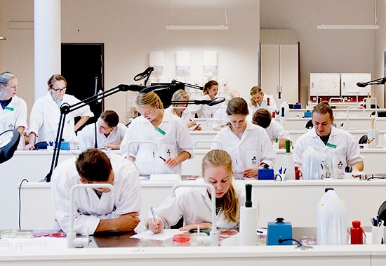 Veterinary students in laboratory, photo.