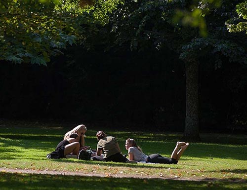 Studenter ligger på en gräsmatta i Alnarpsparken, foto.