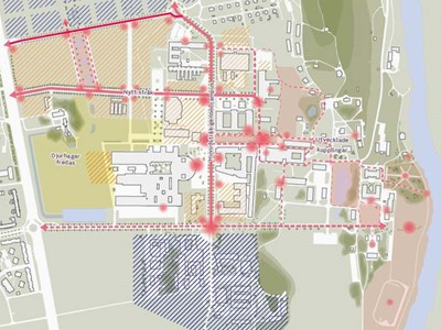 Illustration från campusplanen för Ultuna, skiss.
