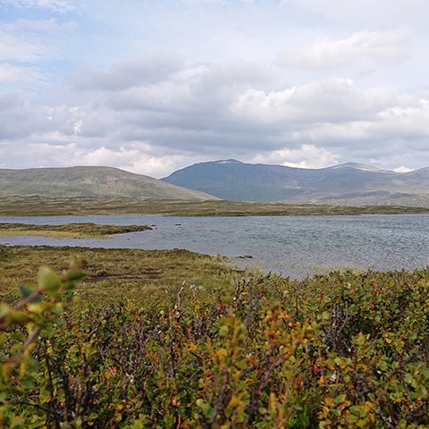 Foto på Ljungsjöarna