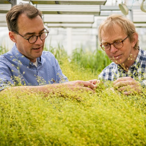 Foto på Per Hofvander och Christer Löfstedt