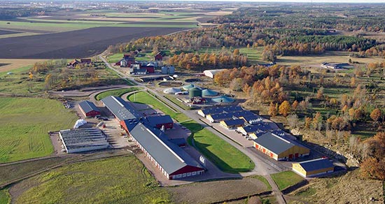 Flygbild över Lövsta forskningscentrum utanför Uppsala, foto.