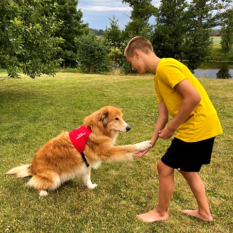 Foto på pojke och skolhund