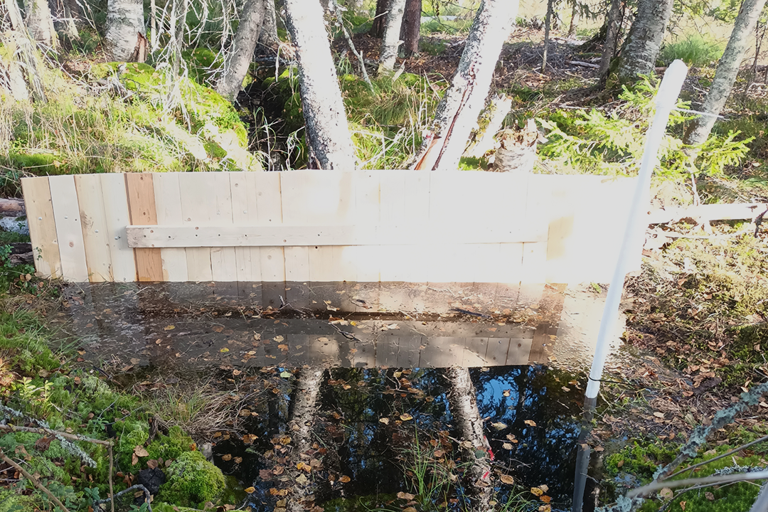 Horizontal plank damming a watercourse. Photo.