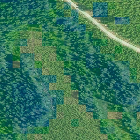 Skogslandskap från ovan med semi-transparent rutnät. Bild.