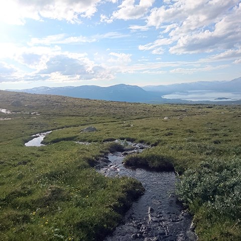 Photo of a stream in Abisko mountains