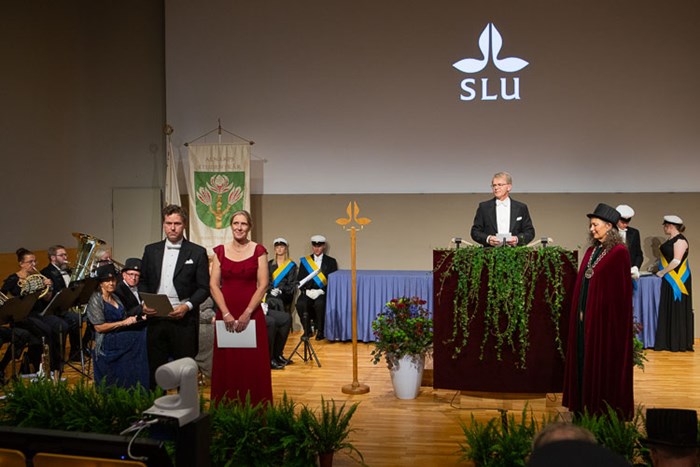Picture of the receivers of the SLU pedagogical prize.