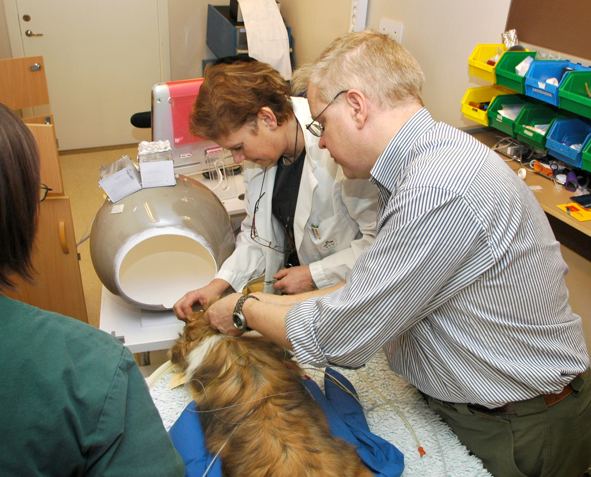 Fotograf: Björn Ekesten SLU
