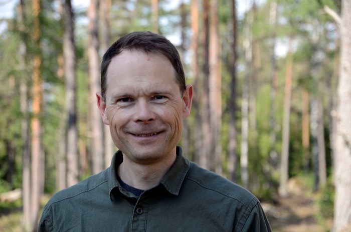 Audrius Menkis är forskare vid Institutionen för skoglig mykologi och växtpatologi vid SLU.