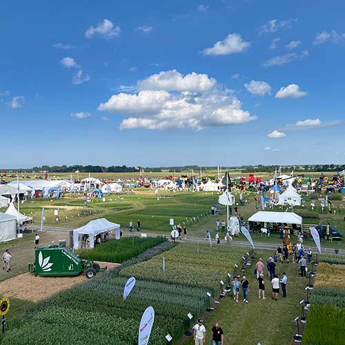 En bild av ett utomhusevenemang med flera vita tält och flaggor i ett stort öppet fält under en klarblå himmel. Det finns olika grödor som växer i rader och många människor spridda över platsen. Evenemanget verkar vara en lantbruksmässa eller utställning.