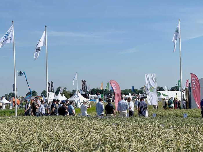 En utomhusmässa med människor som samlas bland flaggor och banderoller med logotyper och ett fält av grödor i förgrunden under en klarblå himmel.