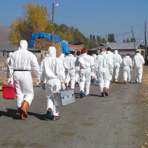 People in white overalls to protect against infection, photo.