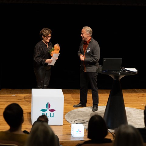 En kvinna på en scen mottar ett pris från en man. Foto.