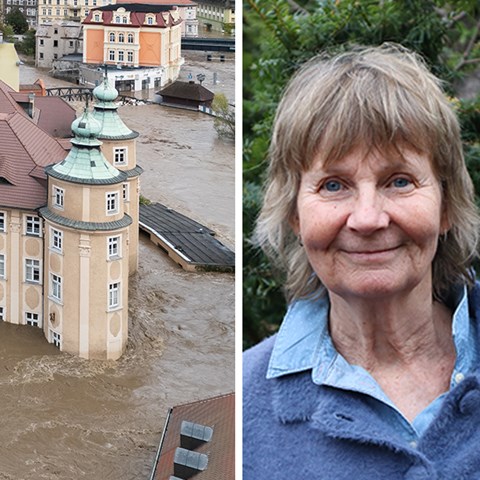Ingrid Wesström och översvämning