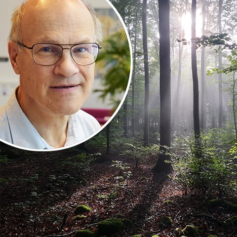 Torbjörn Ebenhard