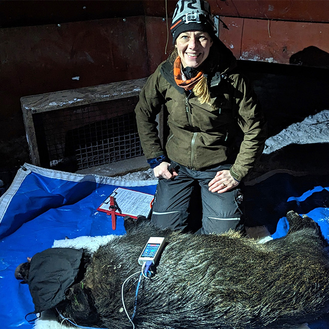 Vildsvin och Evelinea Augustsson