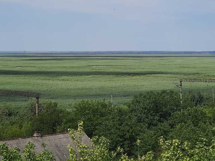 Naturen börjar i maj 2024 återta Kachovka-reservoaren. Foto.