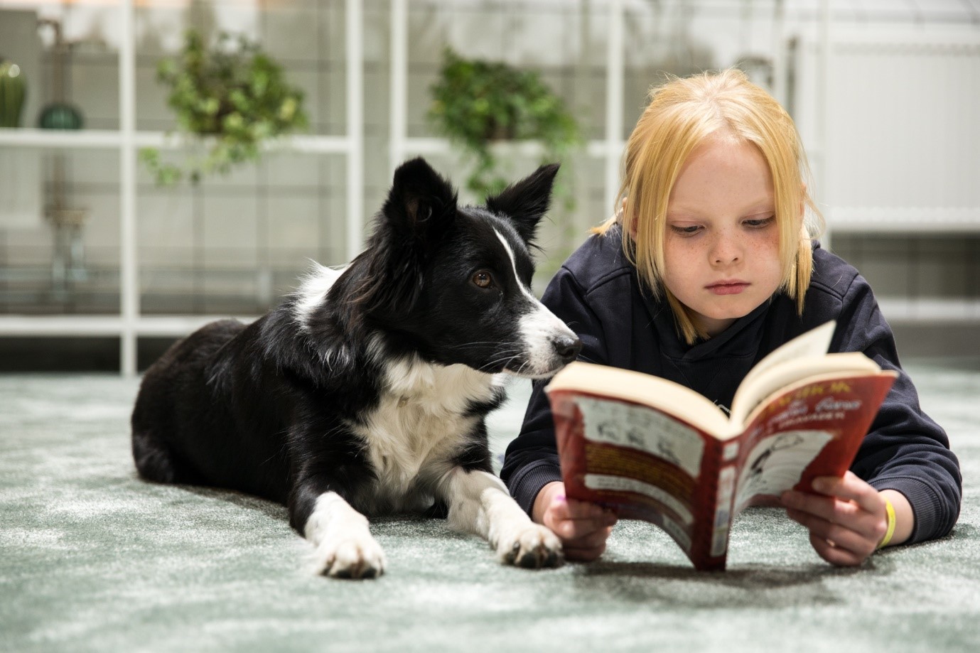 Barn som läser för hund