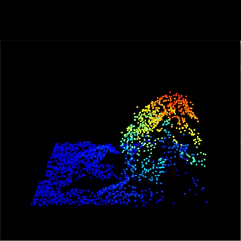 Punktmoln av fjällbjörk