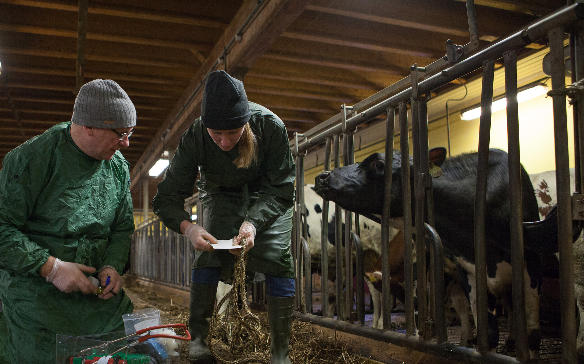 Foto: Jenny Svennås-Gillner