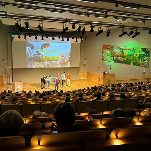 Foto på åhörarna i aulan.