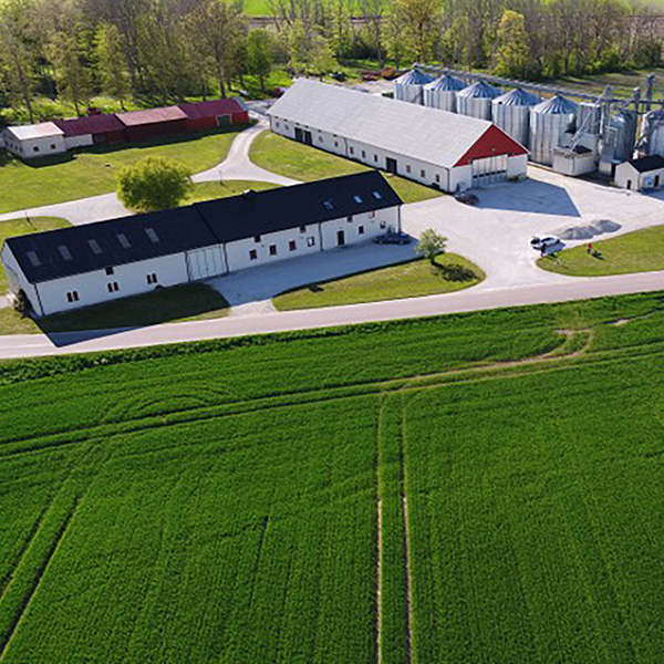 Lantbruk sett från ovan. Foto.