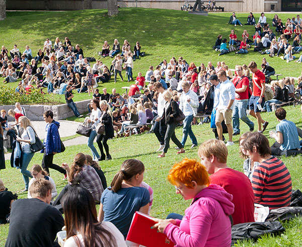 Studenter samlas på gräsmattan vid solig utomhusarena på campus. Foto.