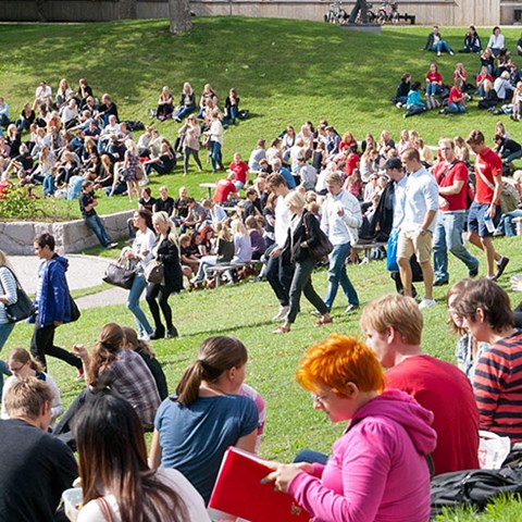 Studenter samlas på gräsmattan vid solig utomhusarena på campus. Foto.