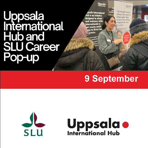 Uppsala International Hub table at an event. Photo: Johan Wahlgren