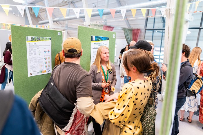 People mingling at Thesis Day in Alnarp 5 June 2025. Photographer Joe Miller.